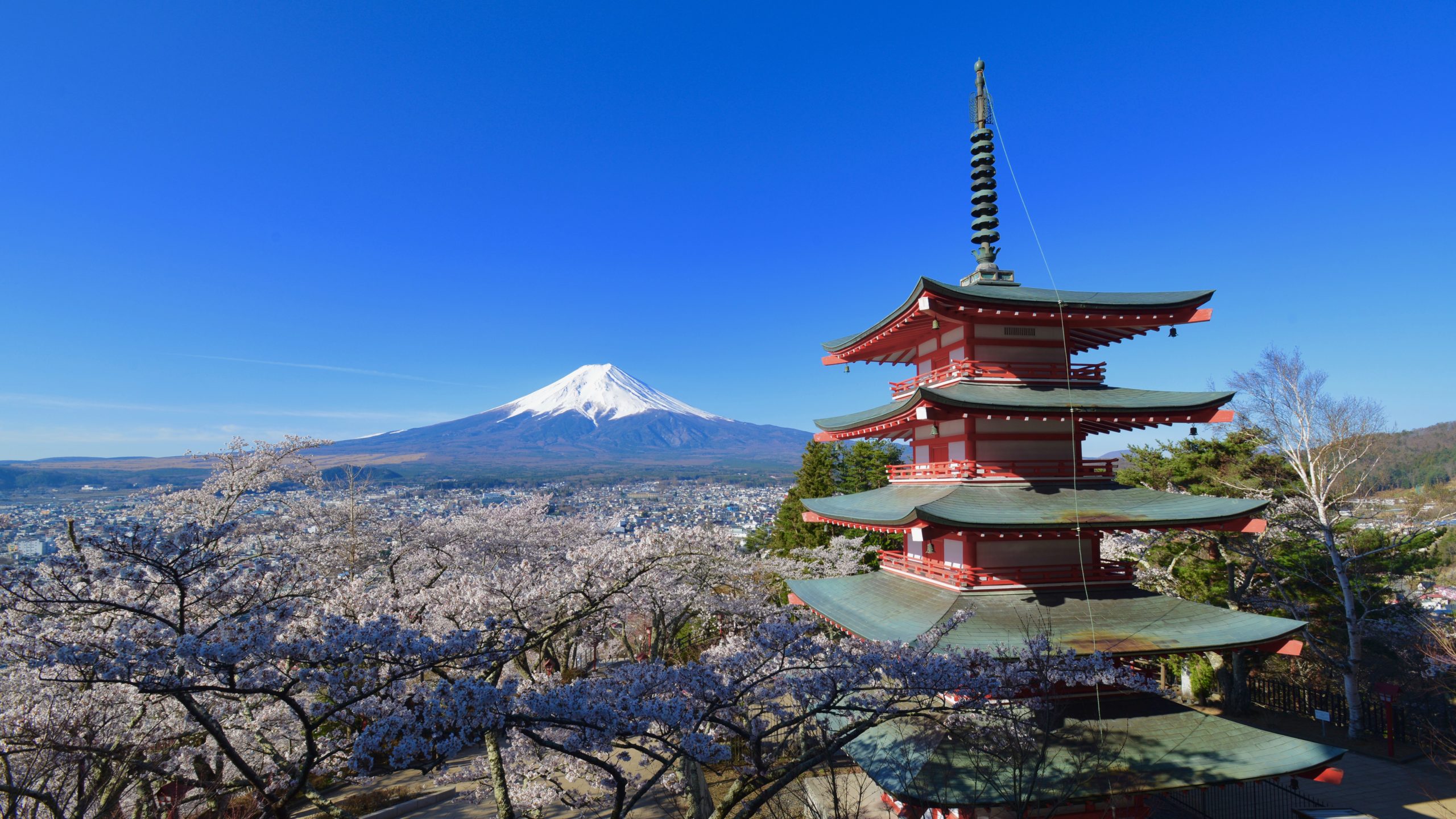 日本の世界遺産の登録基準 世界遺産検定を取得するブログ